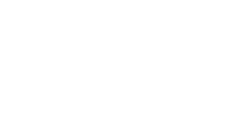 access logo