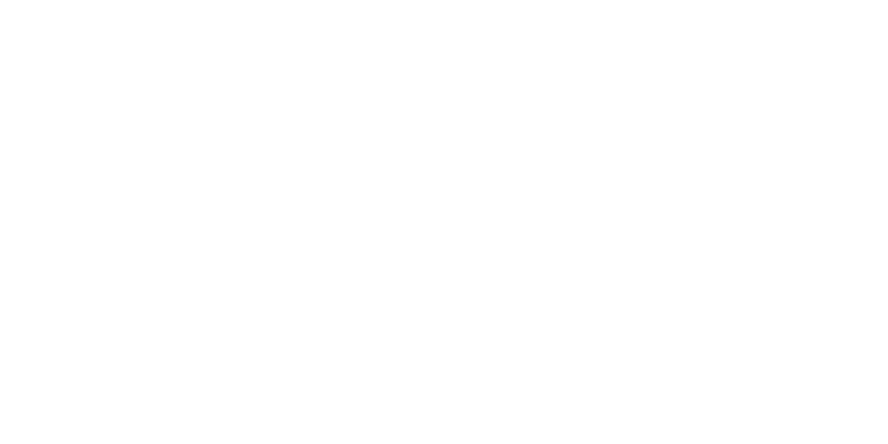 access logo