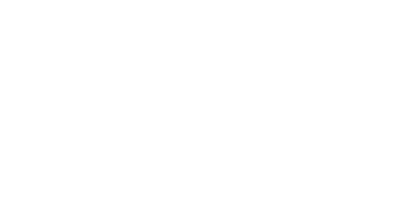 access logo