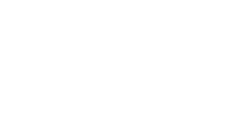 access logo