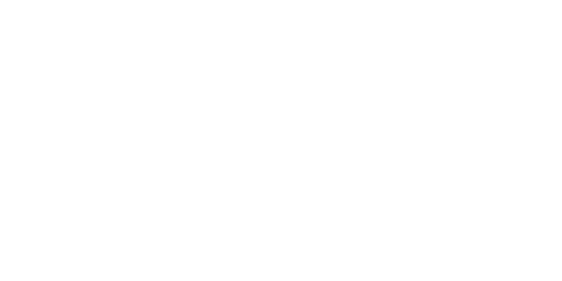 access logo